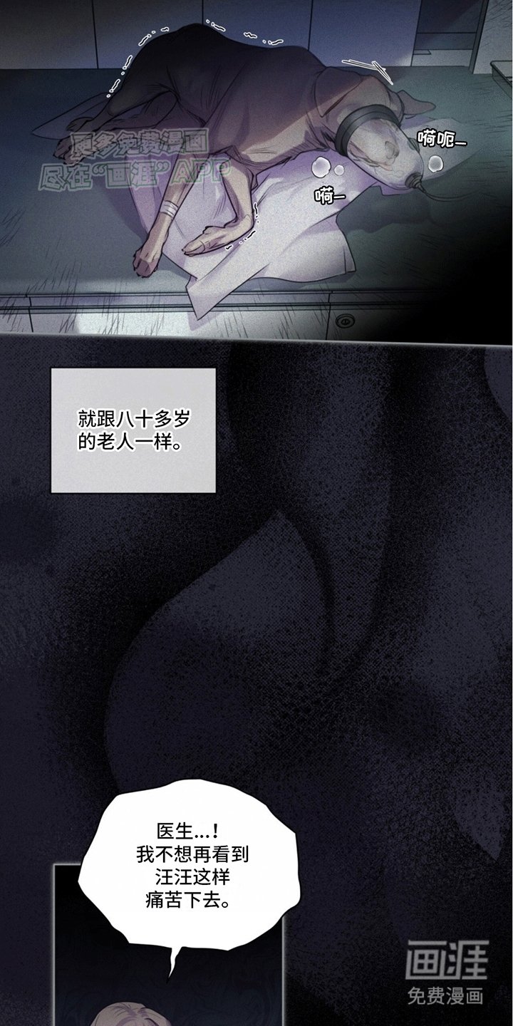 第2章：兽医