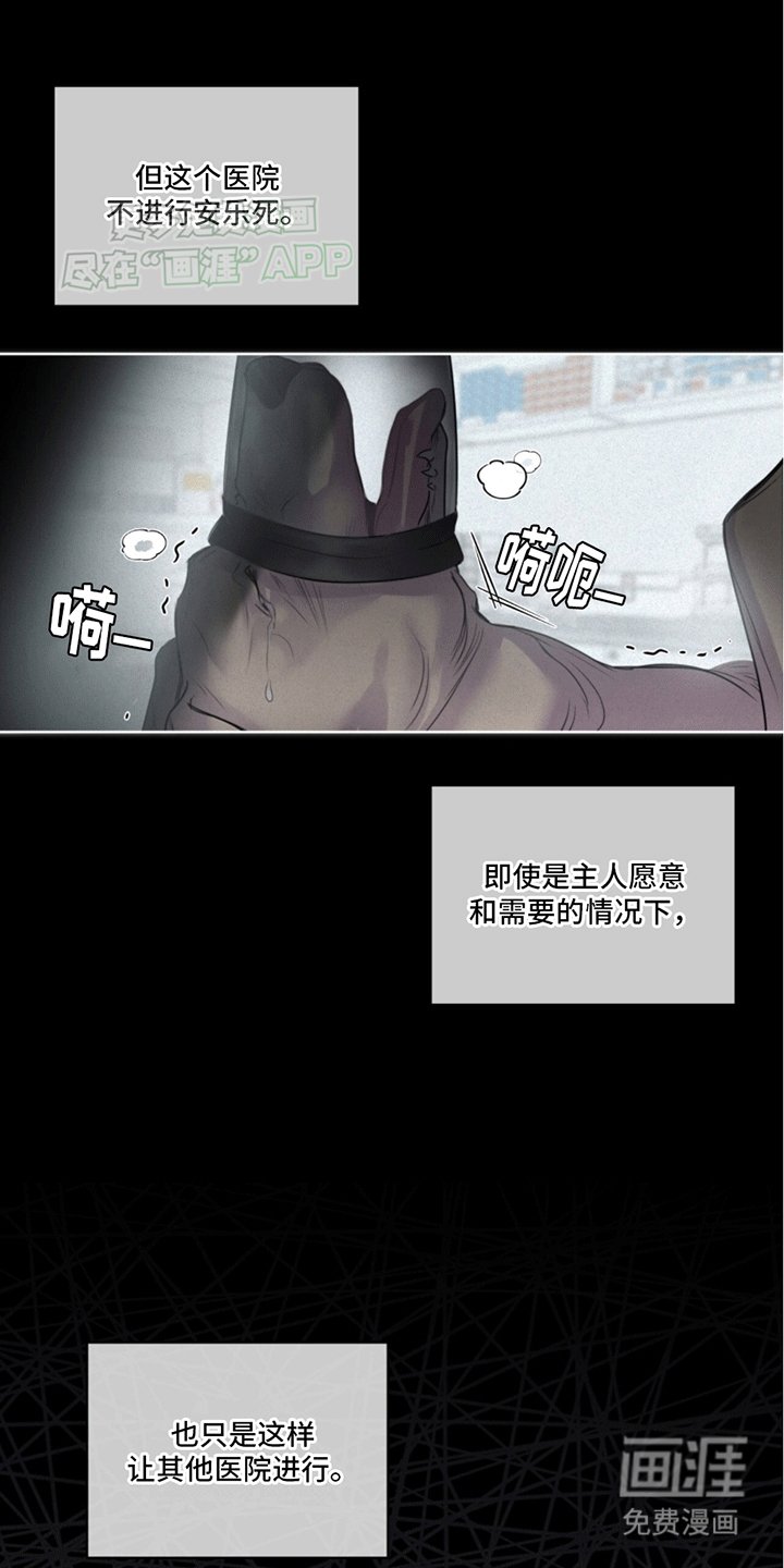 第2章：兽医