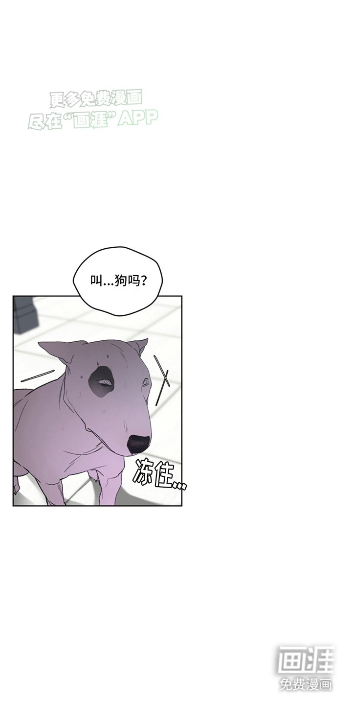 第3章：斗犬