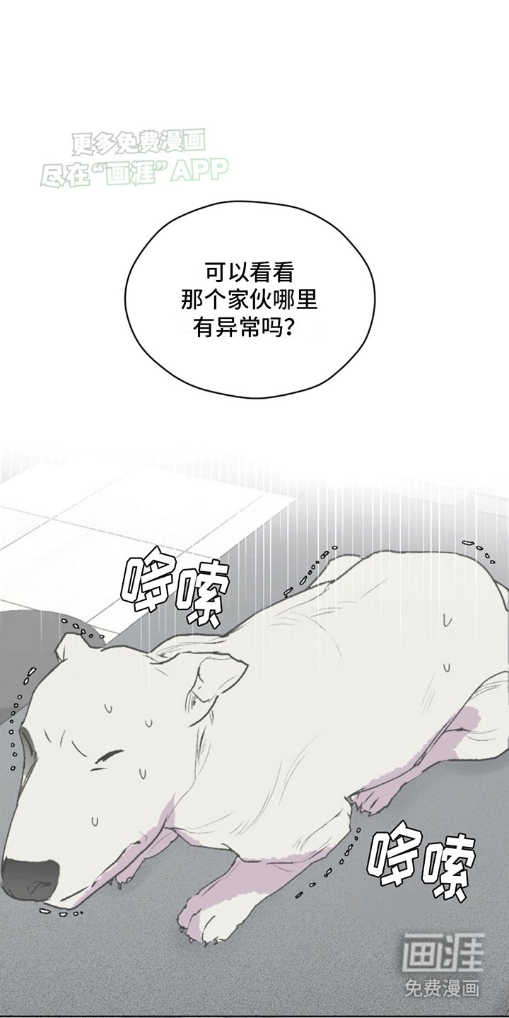 第3章：斗犬