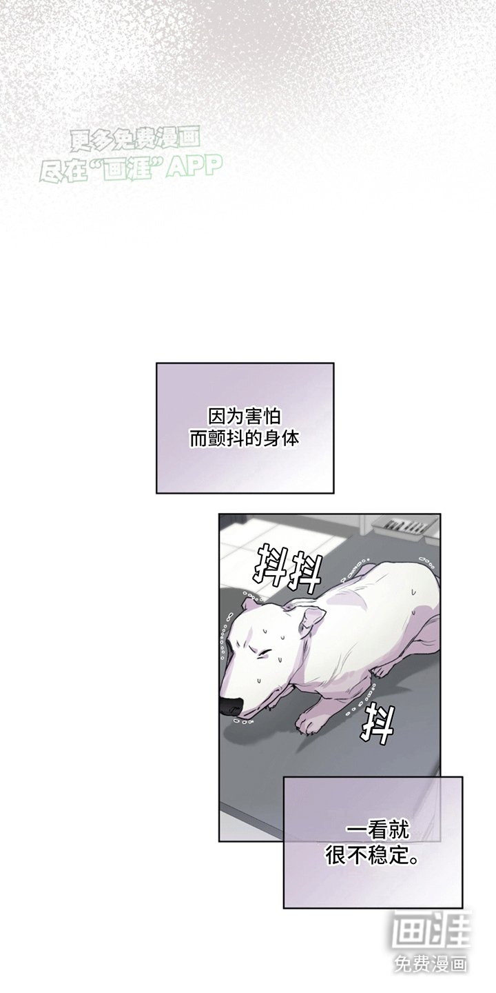 第3章：斗犬