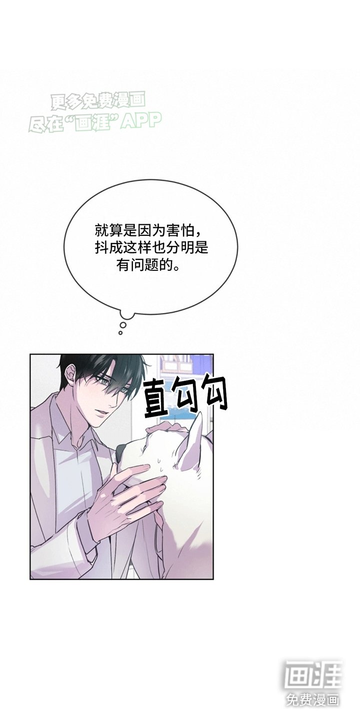 第3章：斗犬