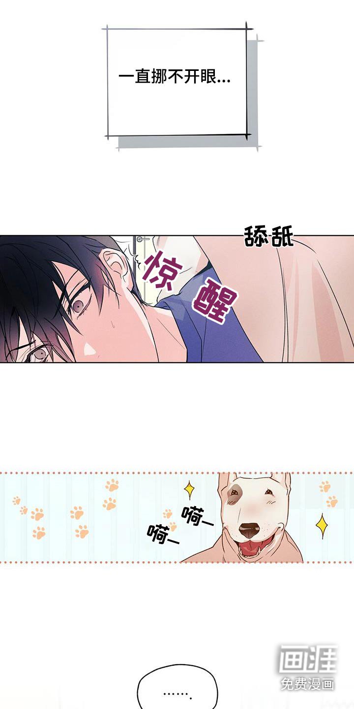 第32章：回答什么