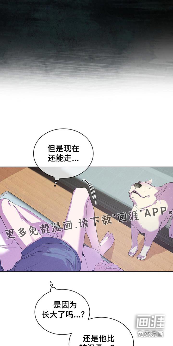 第32章：回答什么