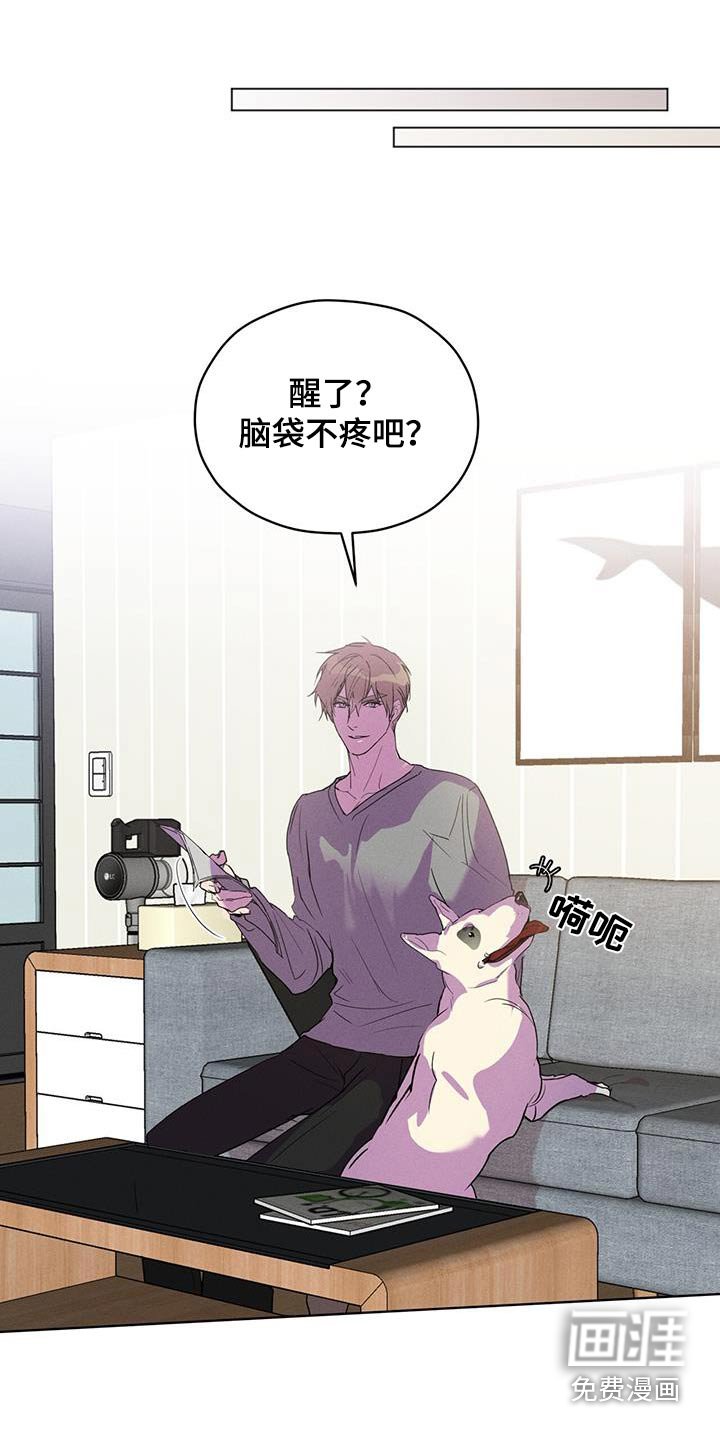 第32章：回答什么