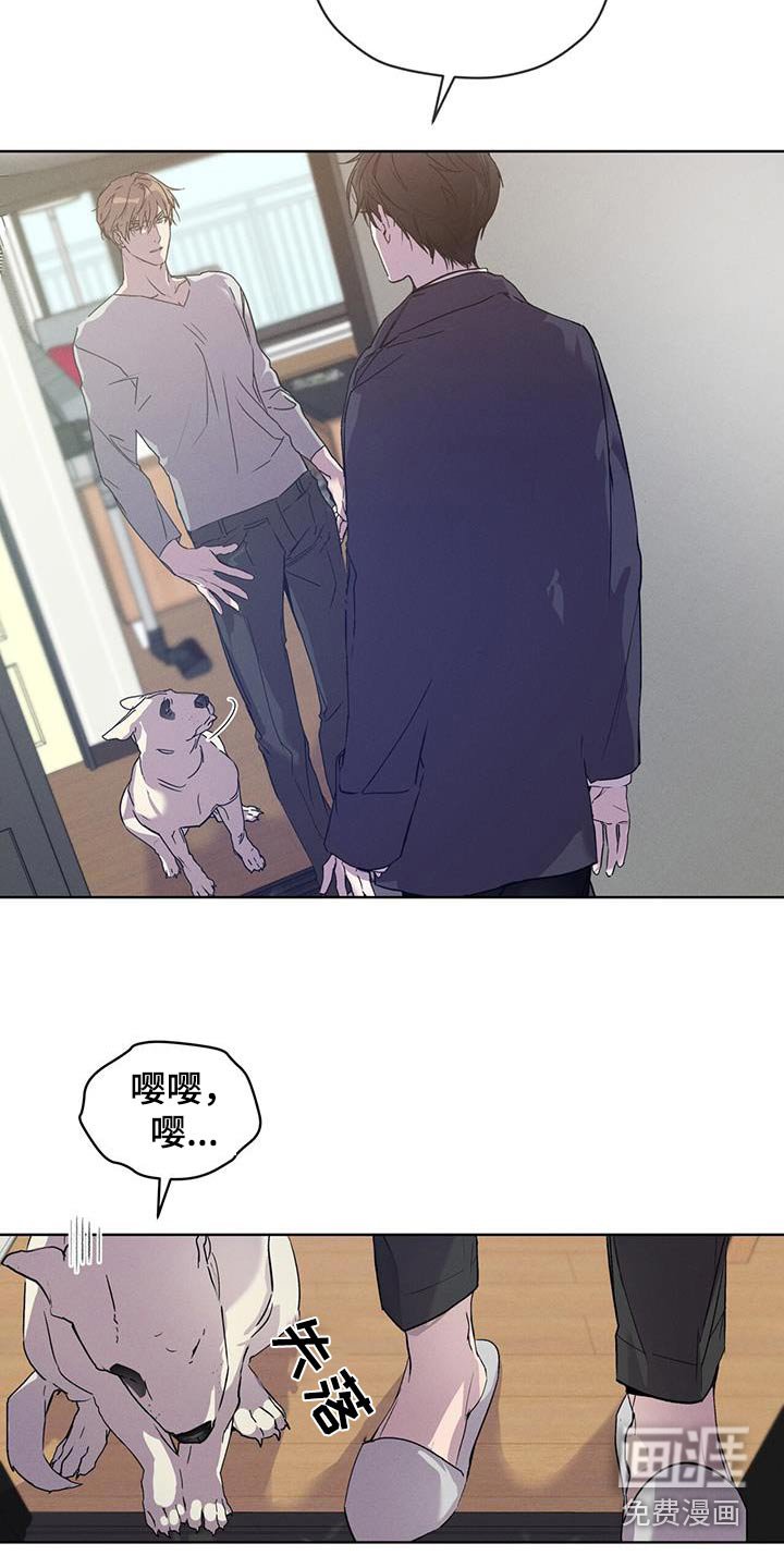 第32章：回答什么