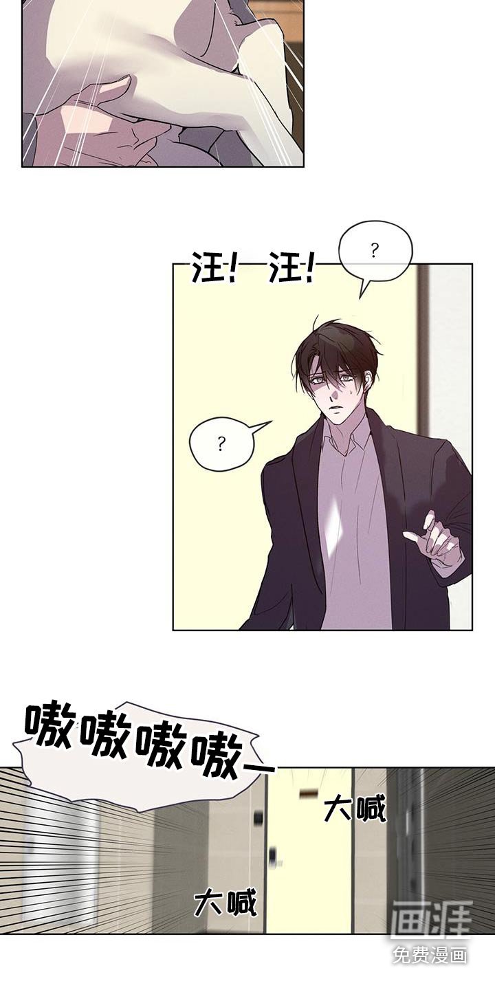 第32章：回答什么