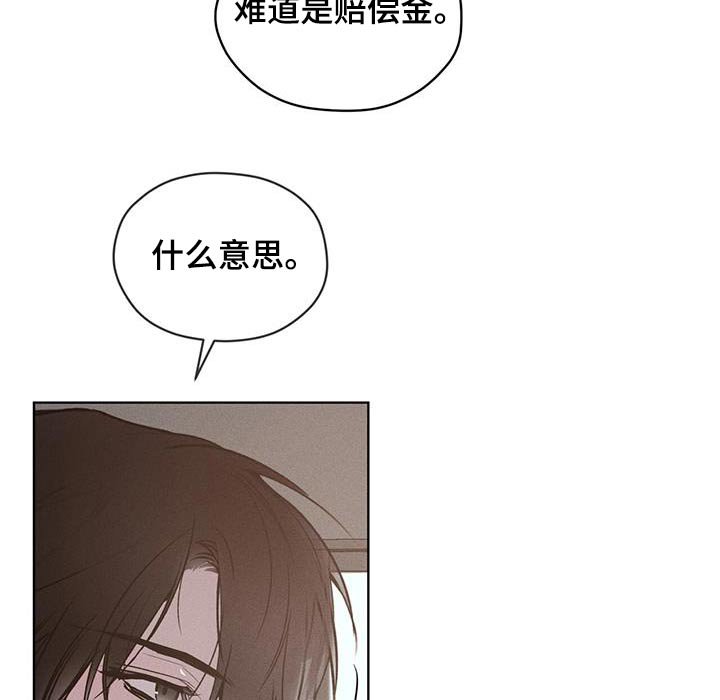 第33章：特征