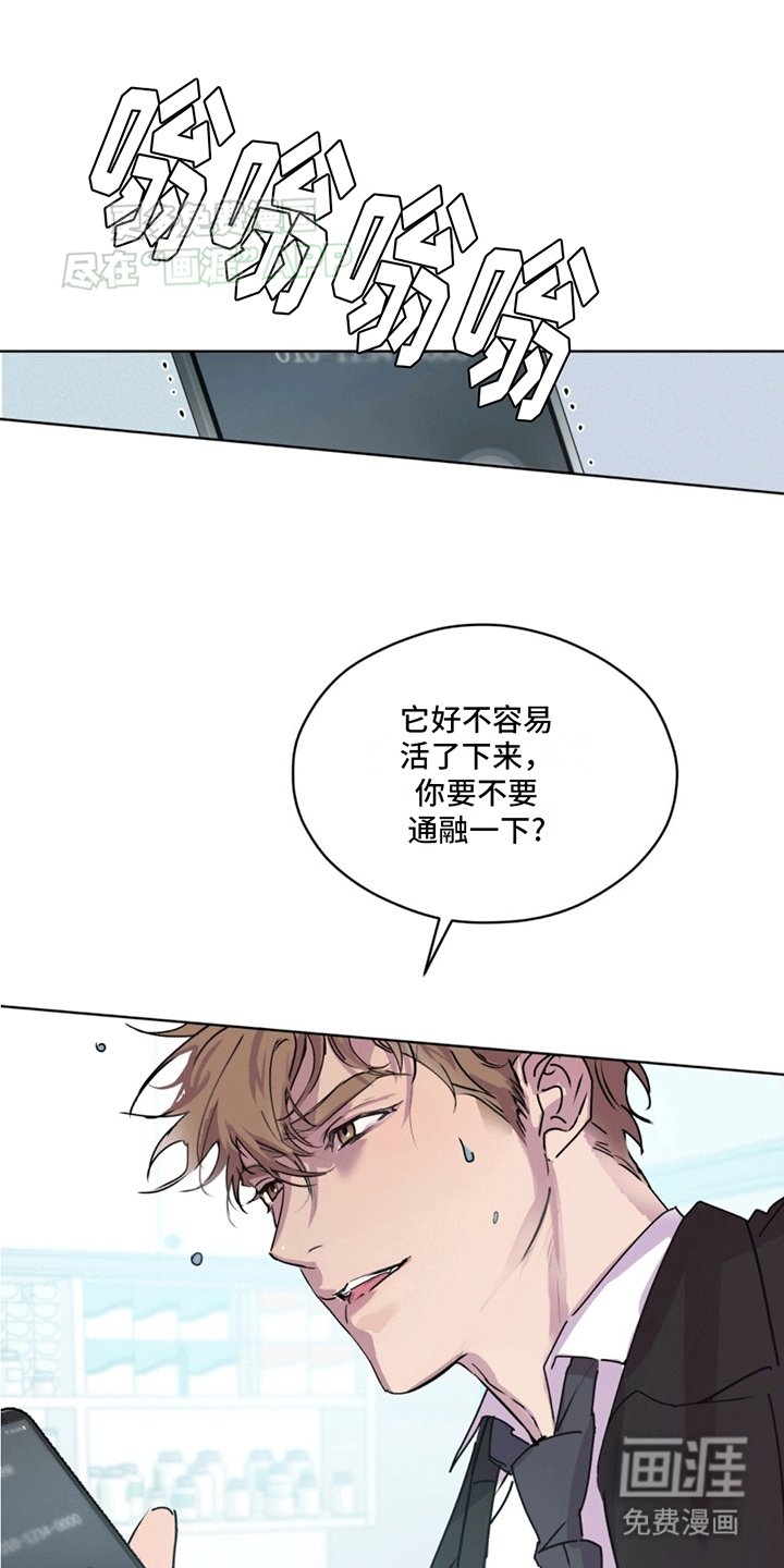 第4章：再次见面