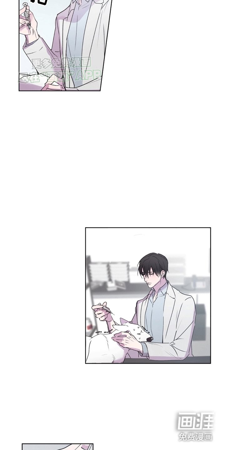 第4章：再次见面