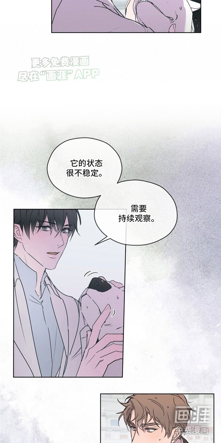 第4章：再次见面