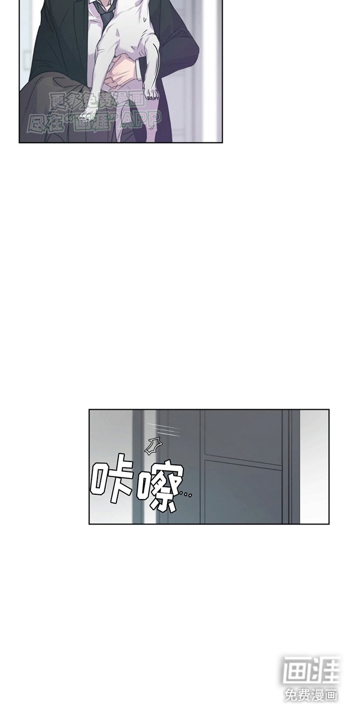 第4章：再次见面