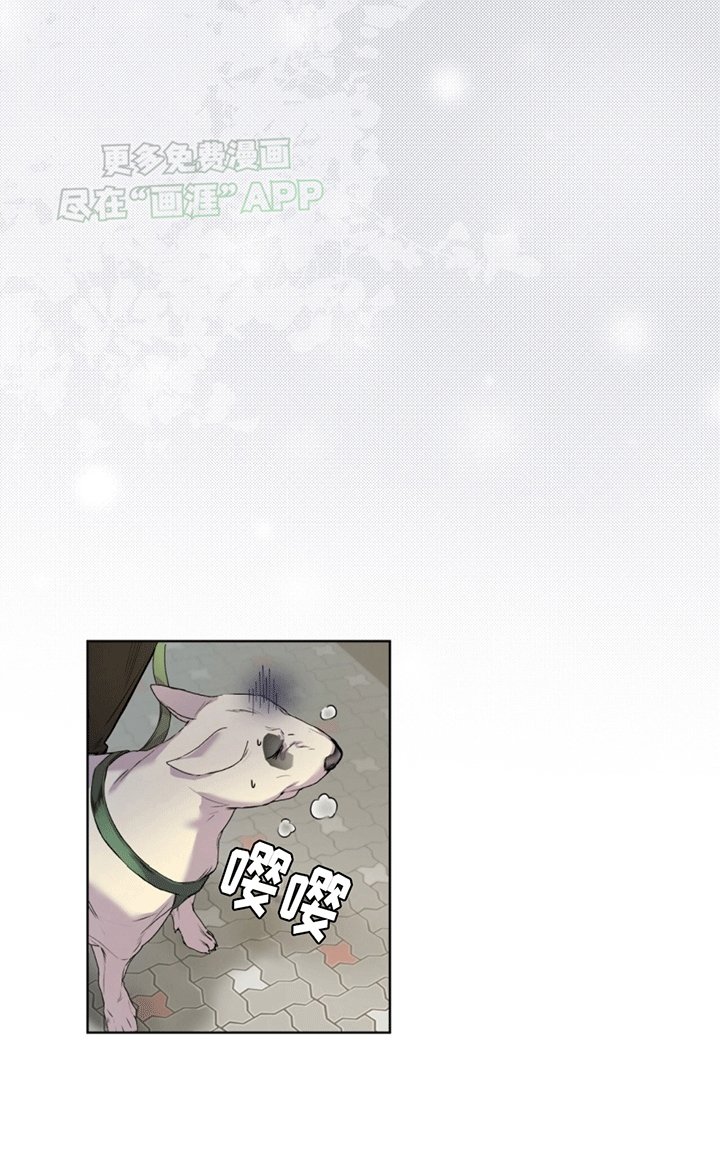 第4章：再次见面