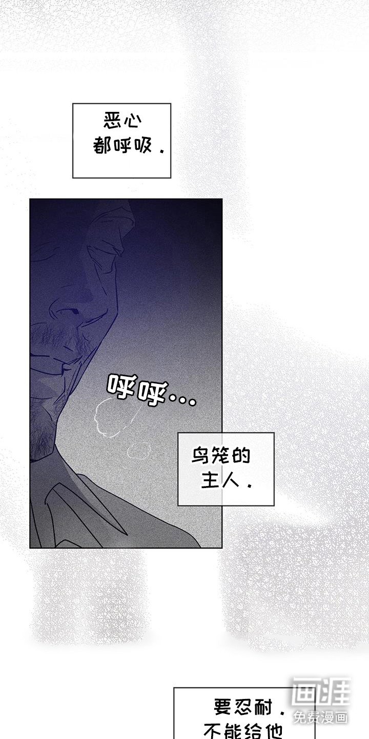 第41章：鸟笼