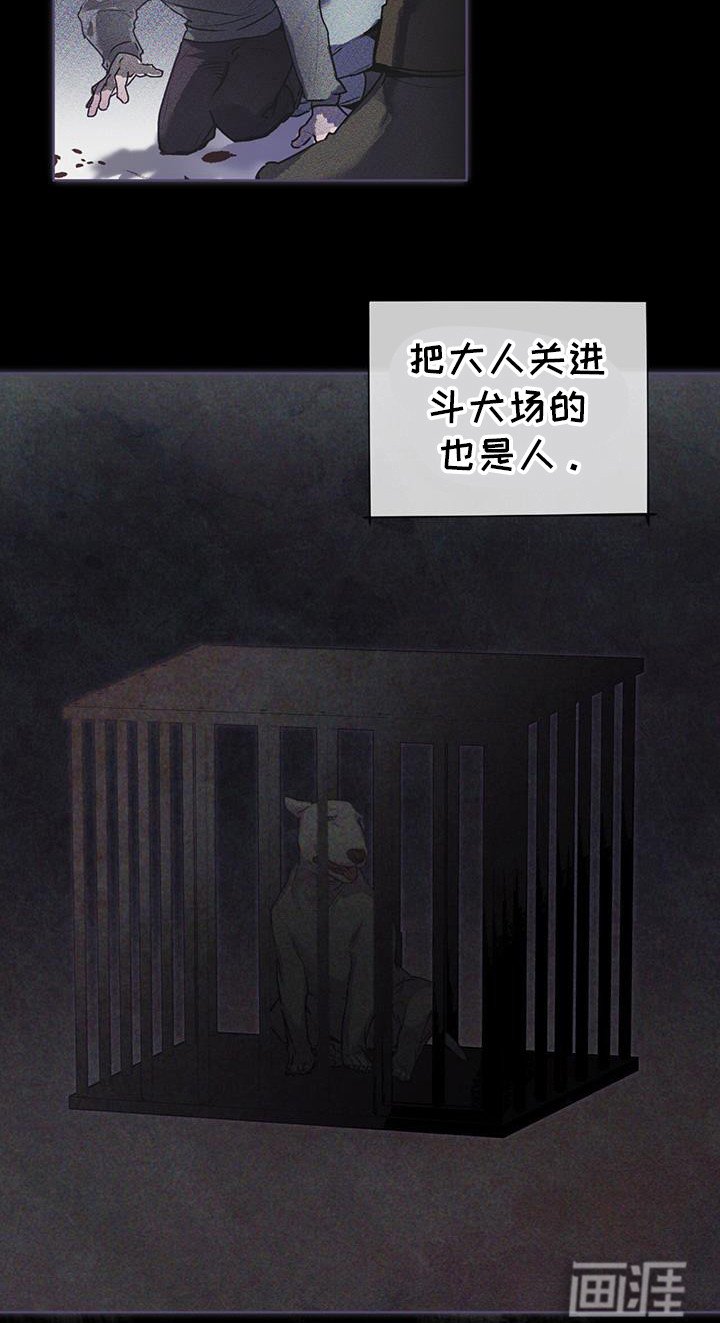 第41章：鸟笼