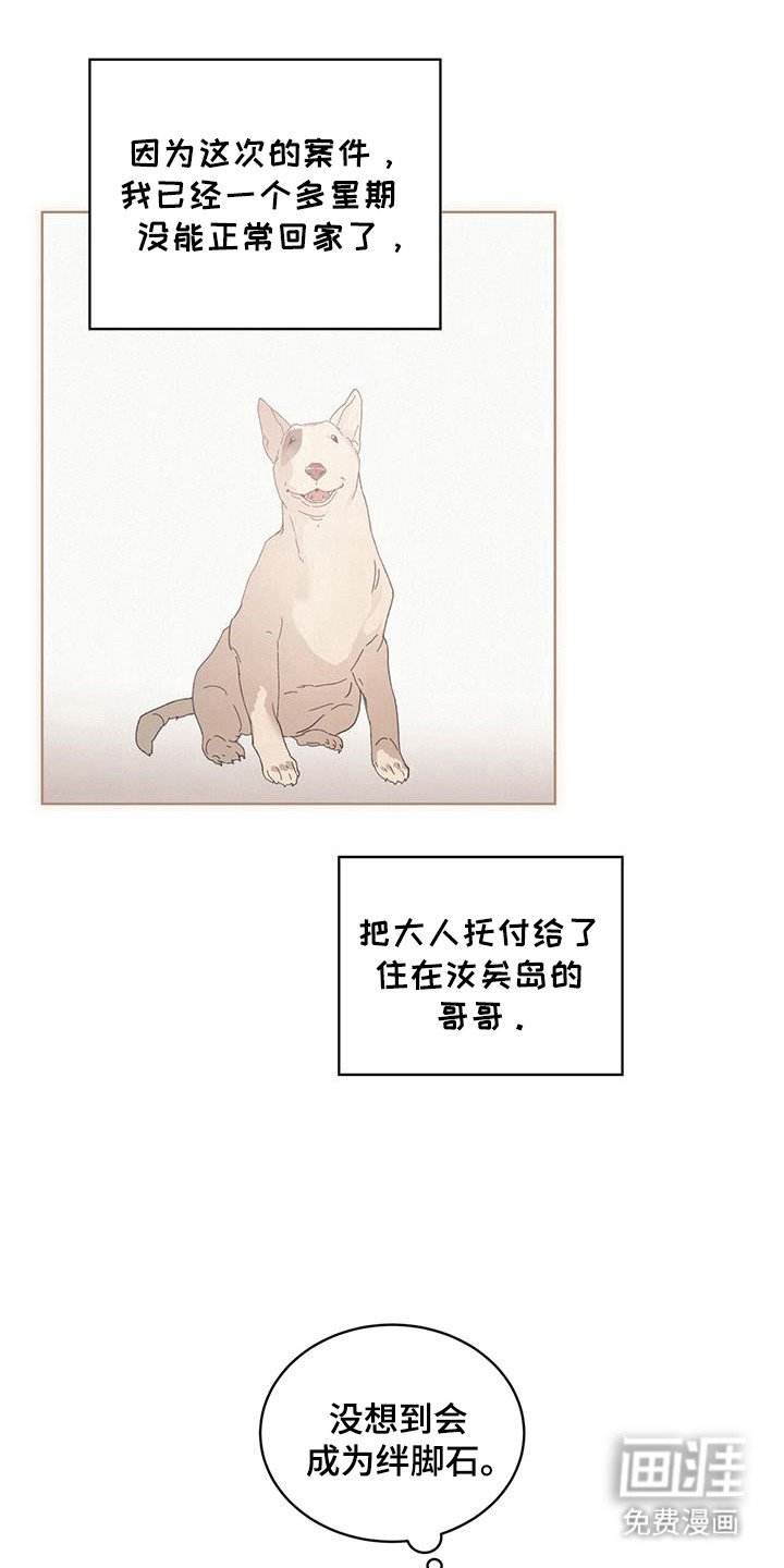 第48章：霉菌和虫子