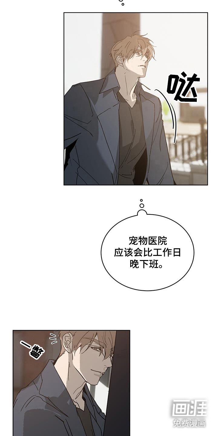 第48章：霉菌和虫子