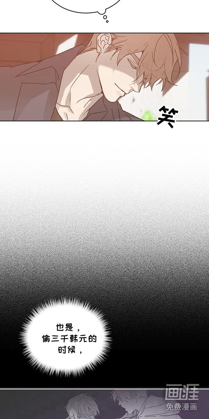 第48章：霉菌和虫子