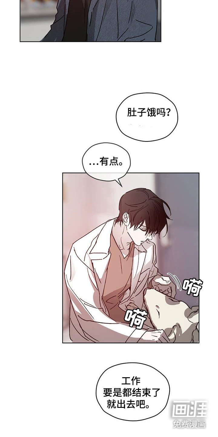 第48章：霉菌和虫子