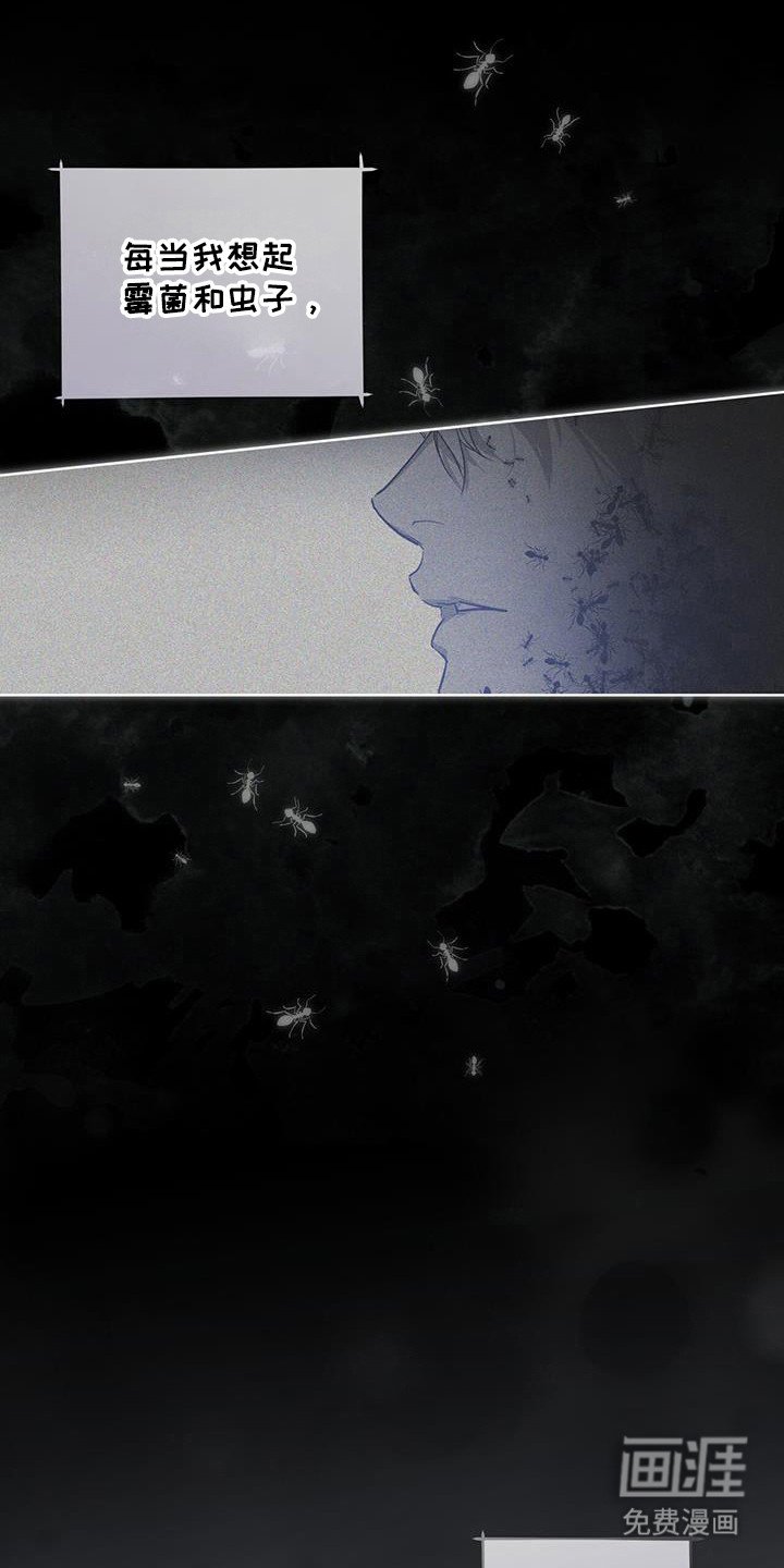 第48章：霉菌和虫子