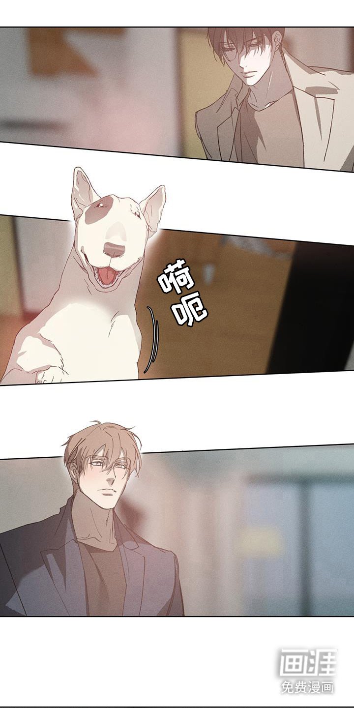第49章：试试吧
