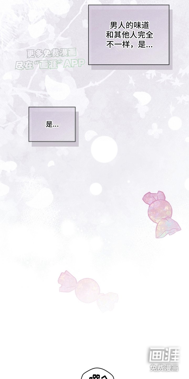 第5章：凶杀案