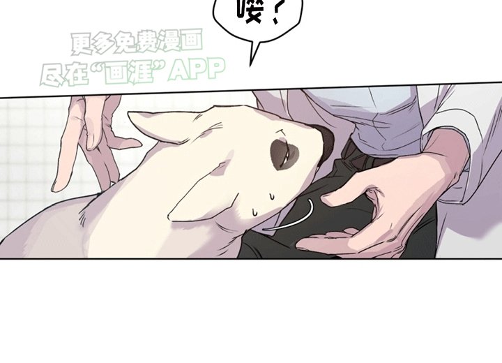 第5章：凶杀案