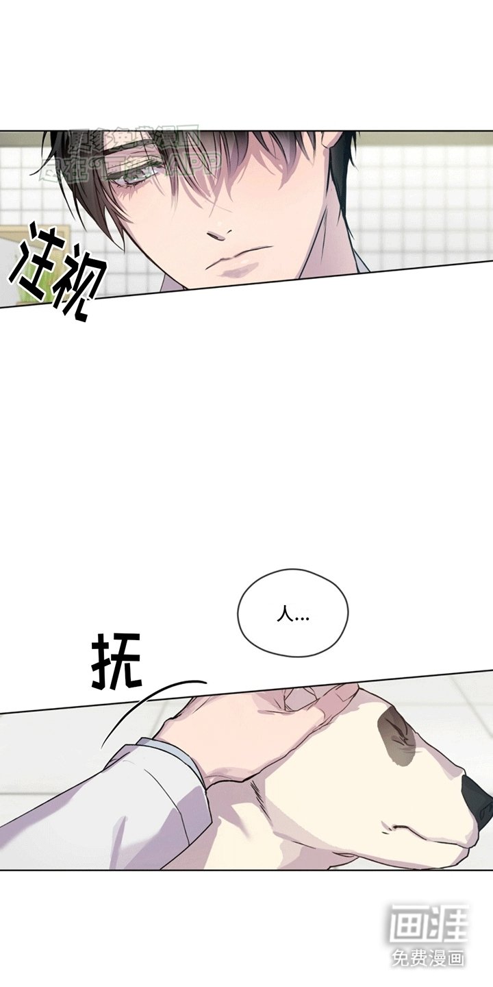 第5章：凶杀案