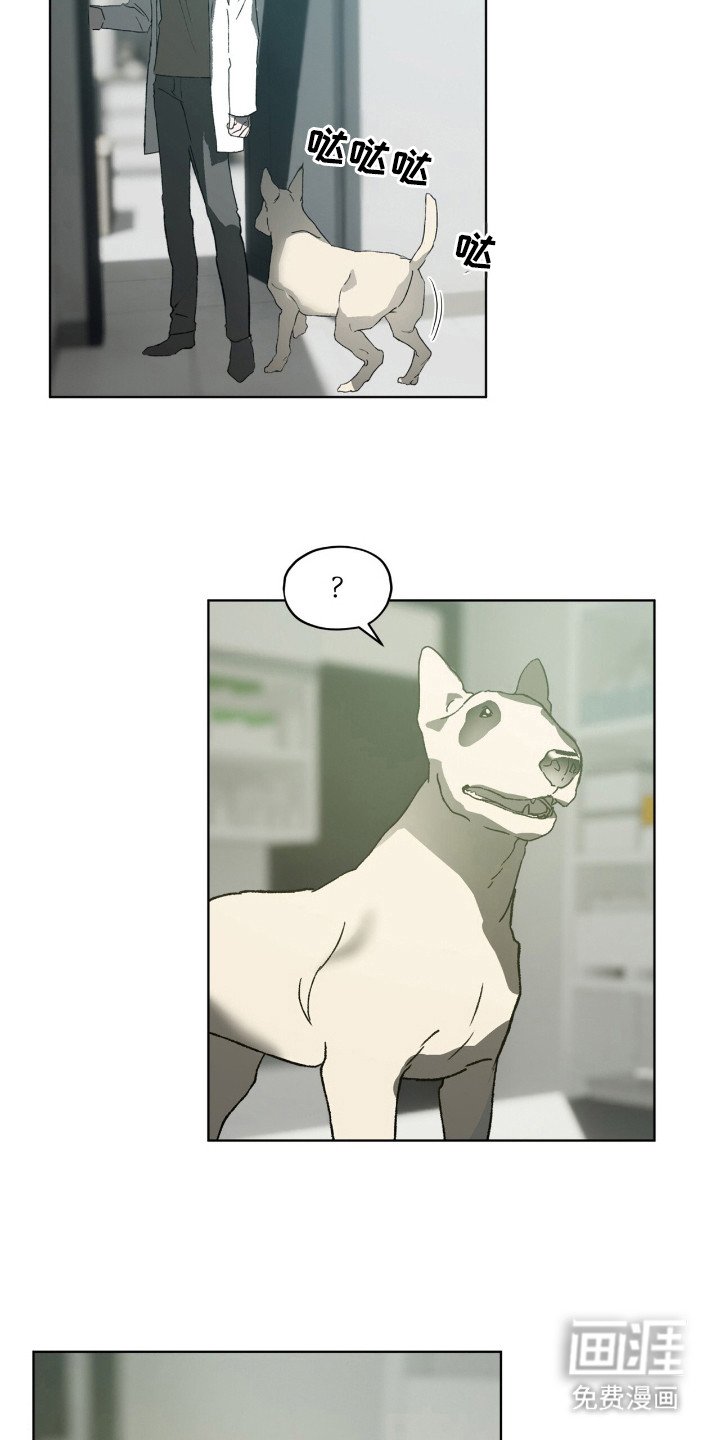 第51章：已经注定（第一季完结）