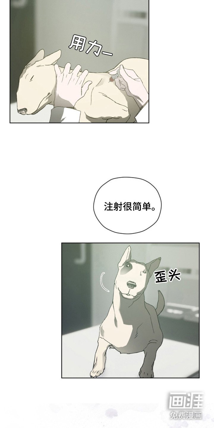 第51章：已经注定（第一季完结）