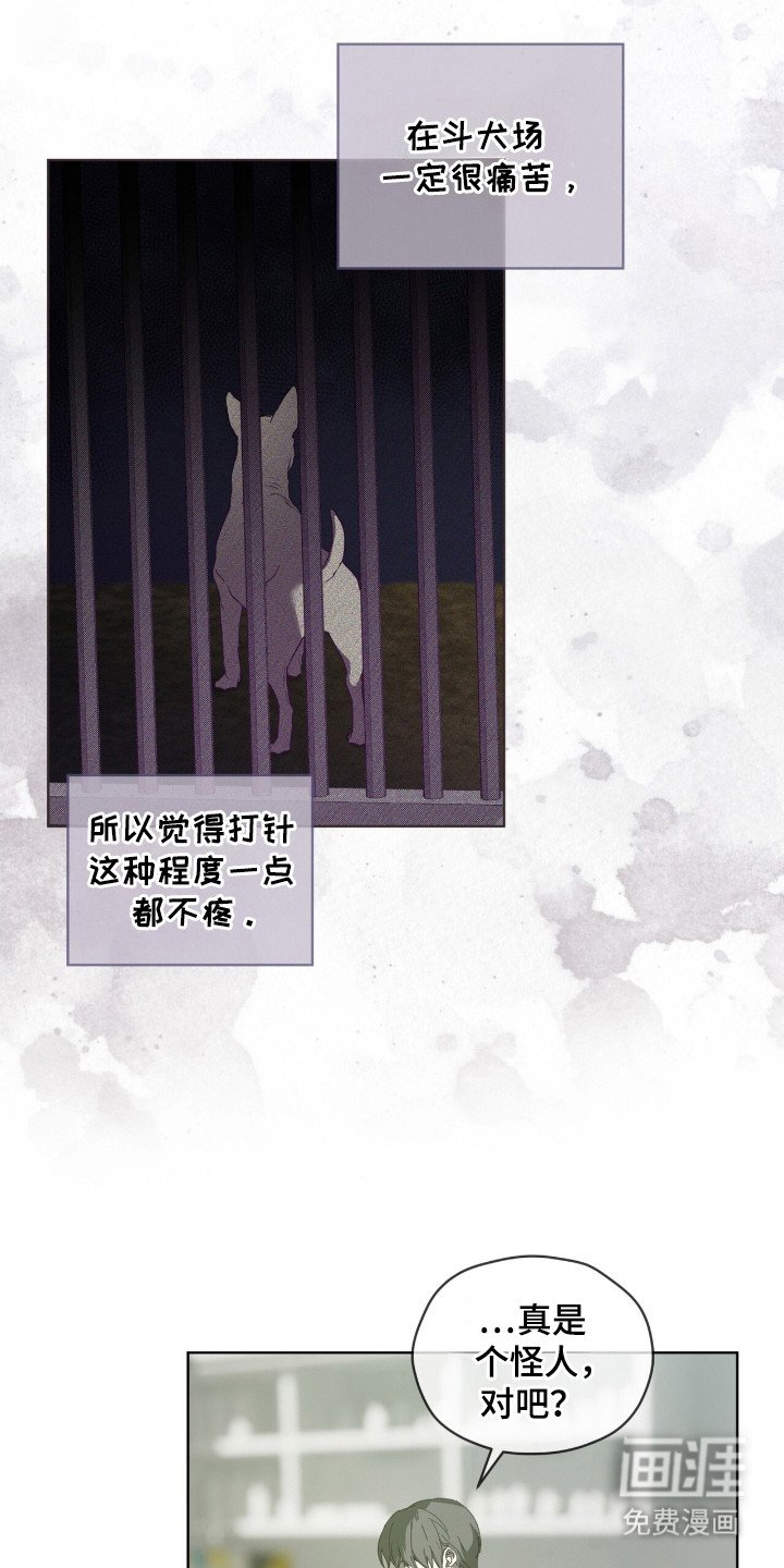 第51章：已经注定（第一季完结）