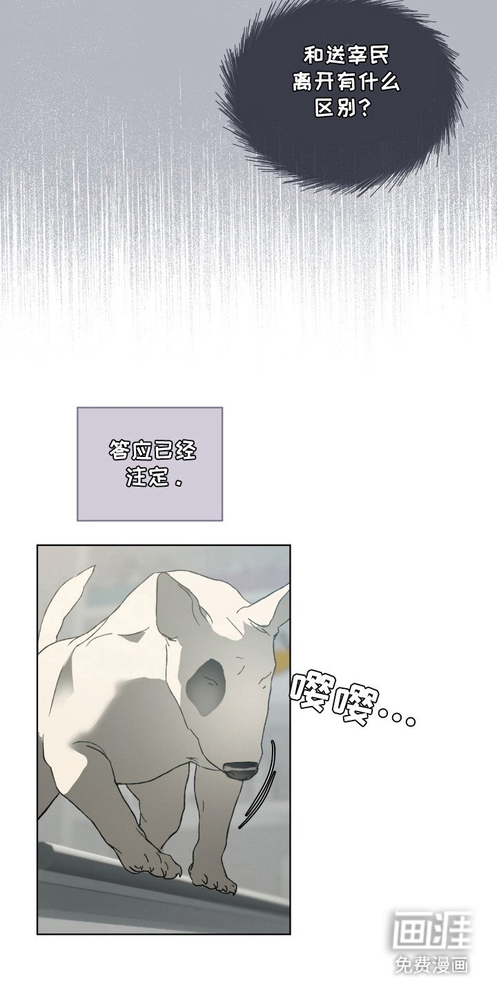 第51章：已经注定（第一季完结）