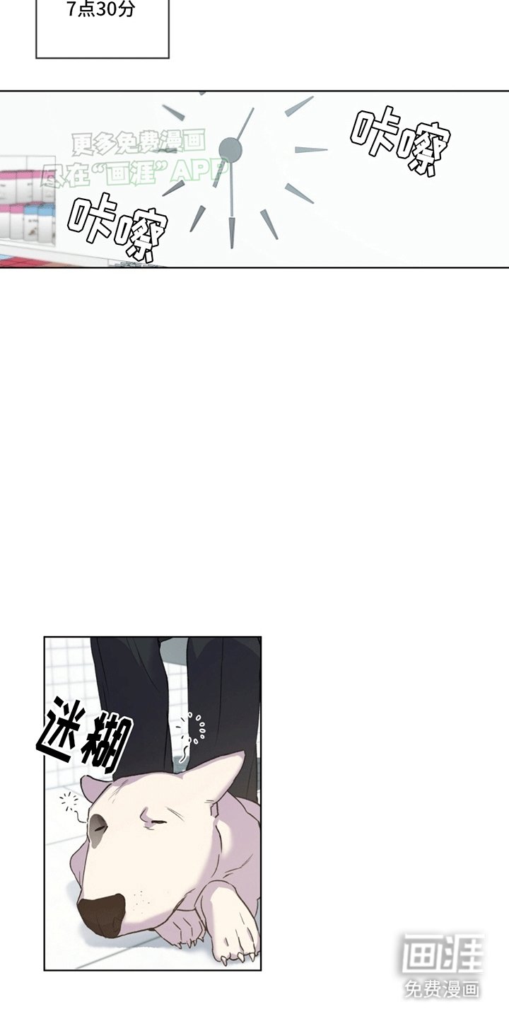 第7章：受伤