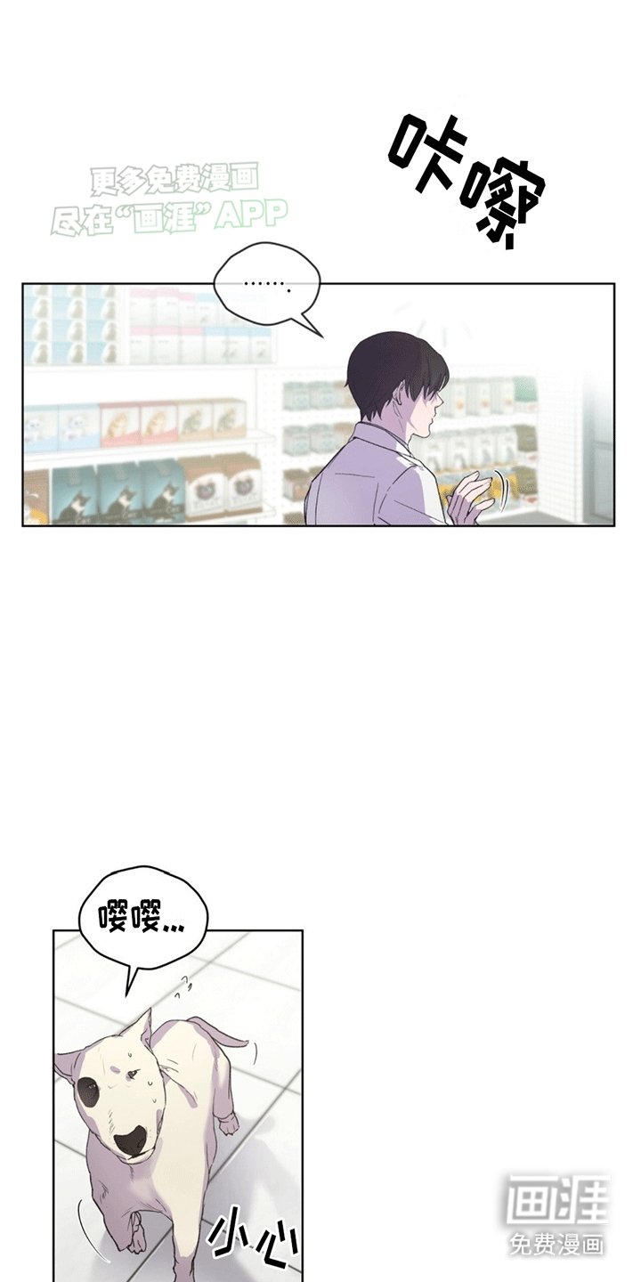 第7章：受伤