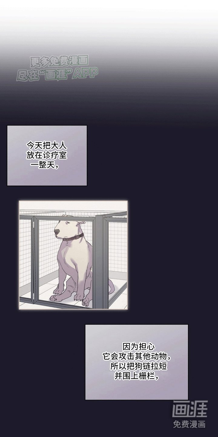 第7章：受伤
