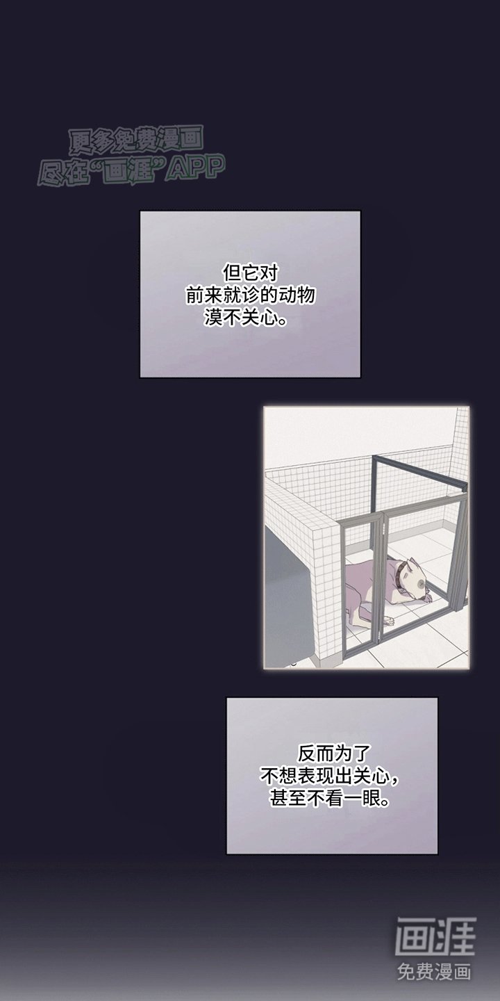 第7章：受伤