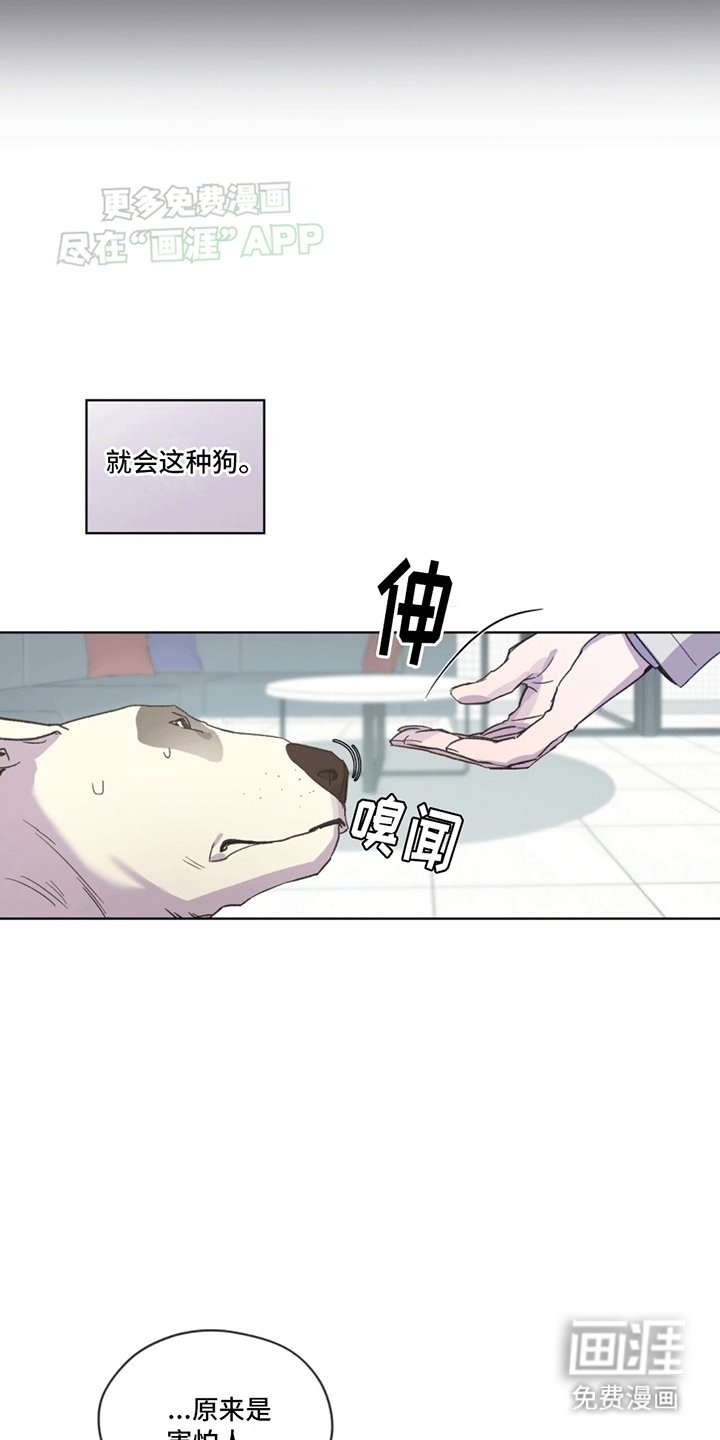 第7章：受伤