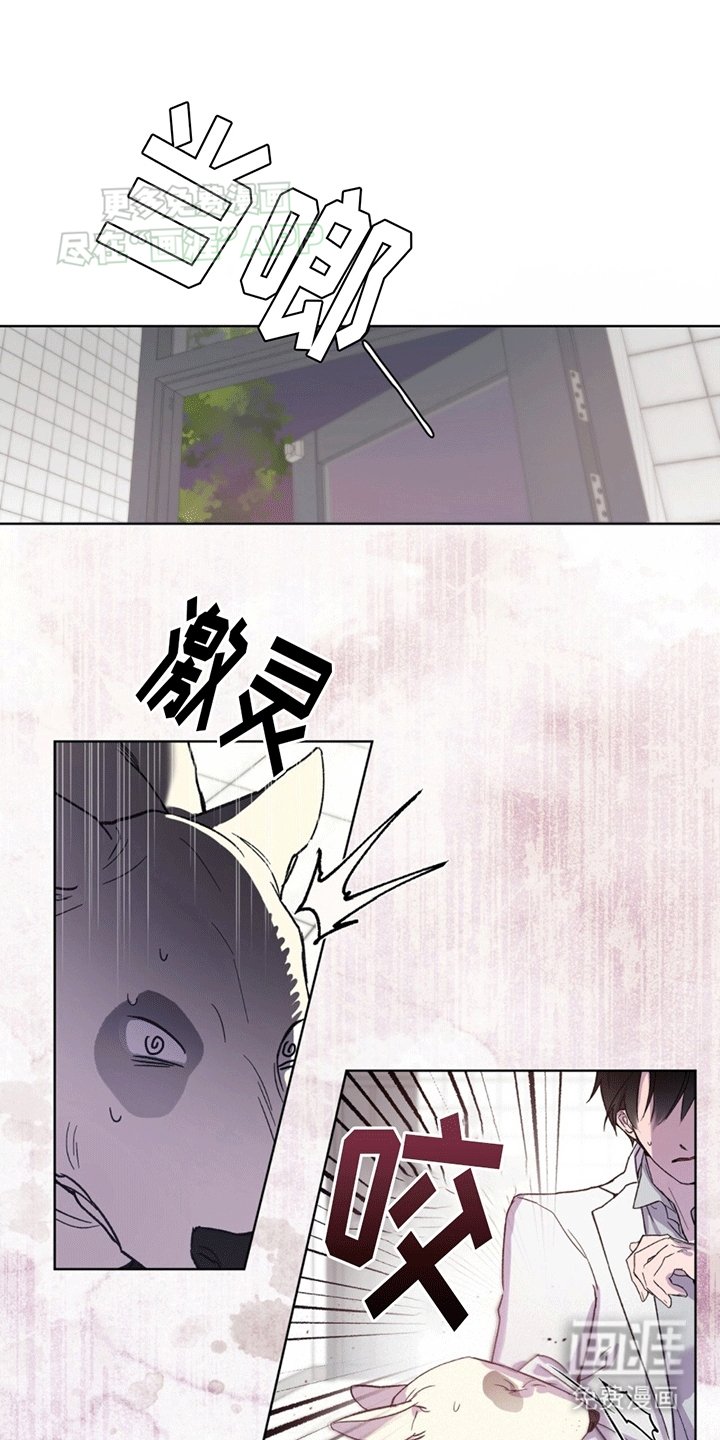 第7章：受伤