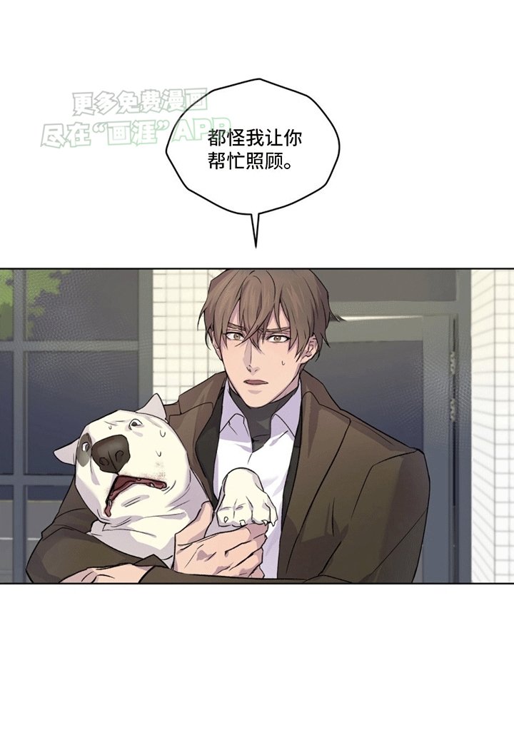 第7章：受伤