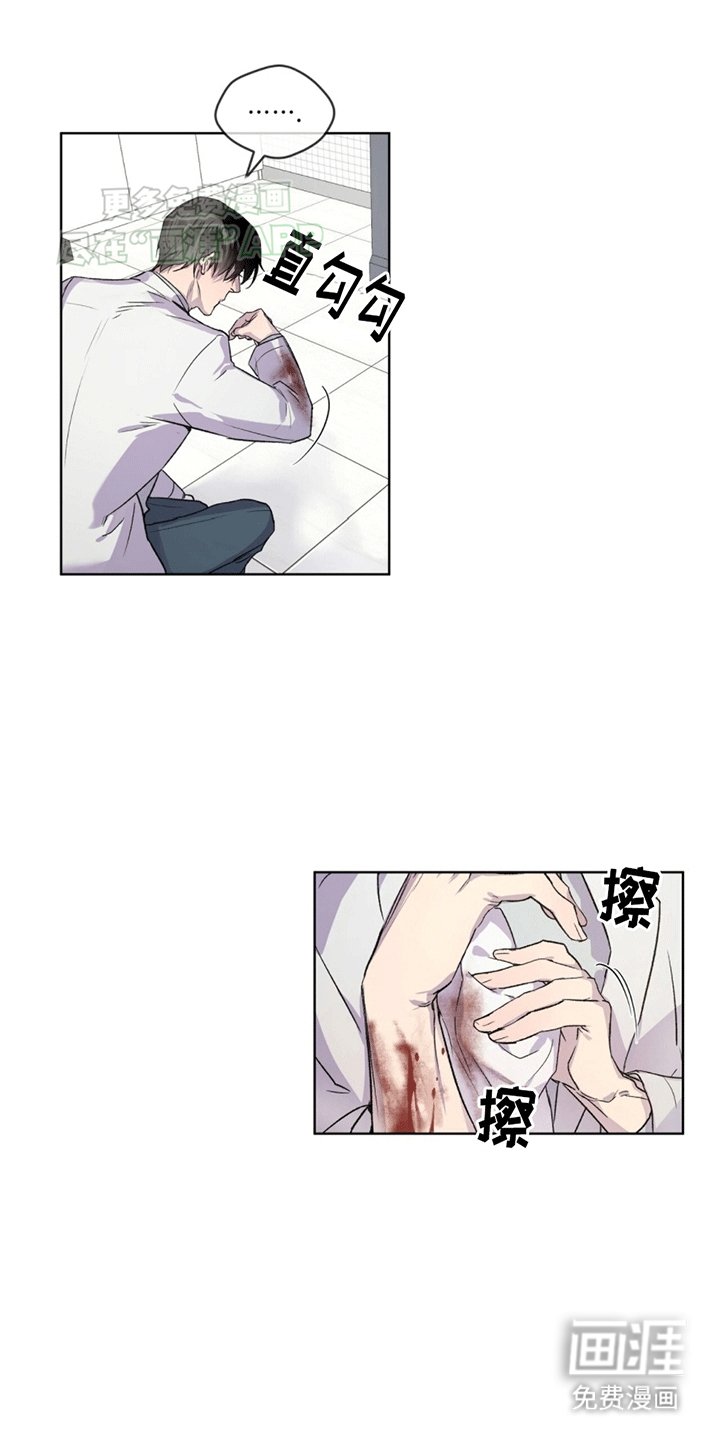 第8章：阻止安乐死