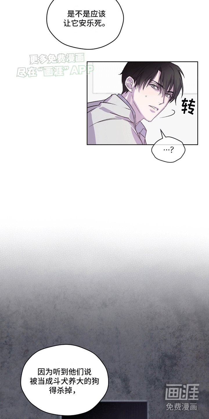 第8章：阻止安乐死