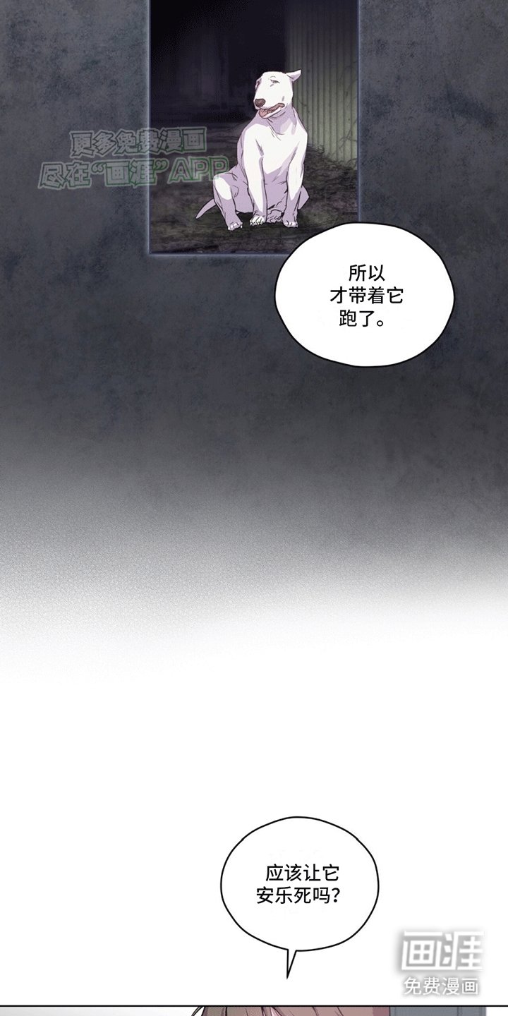 第8章：阻止安乐死
