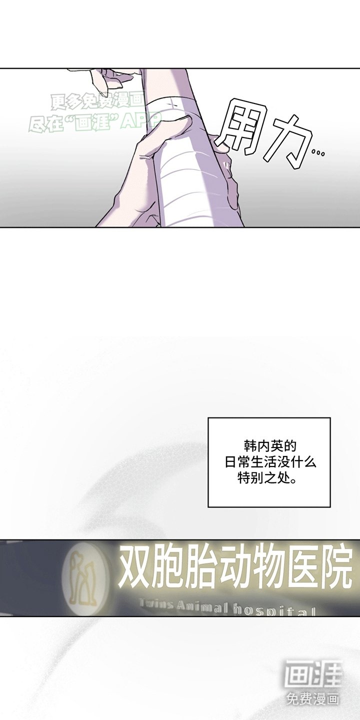 第8章：阻止安乐死