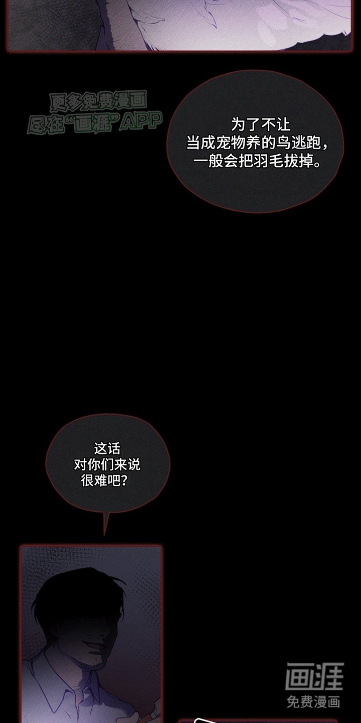 第9章：双胞胎