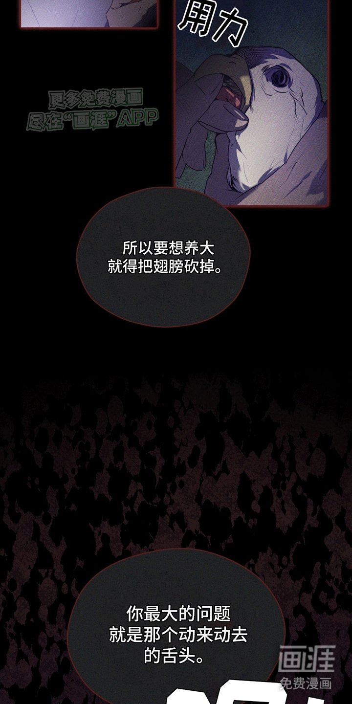 第9章：双胞胎