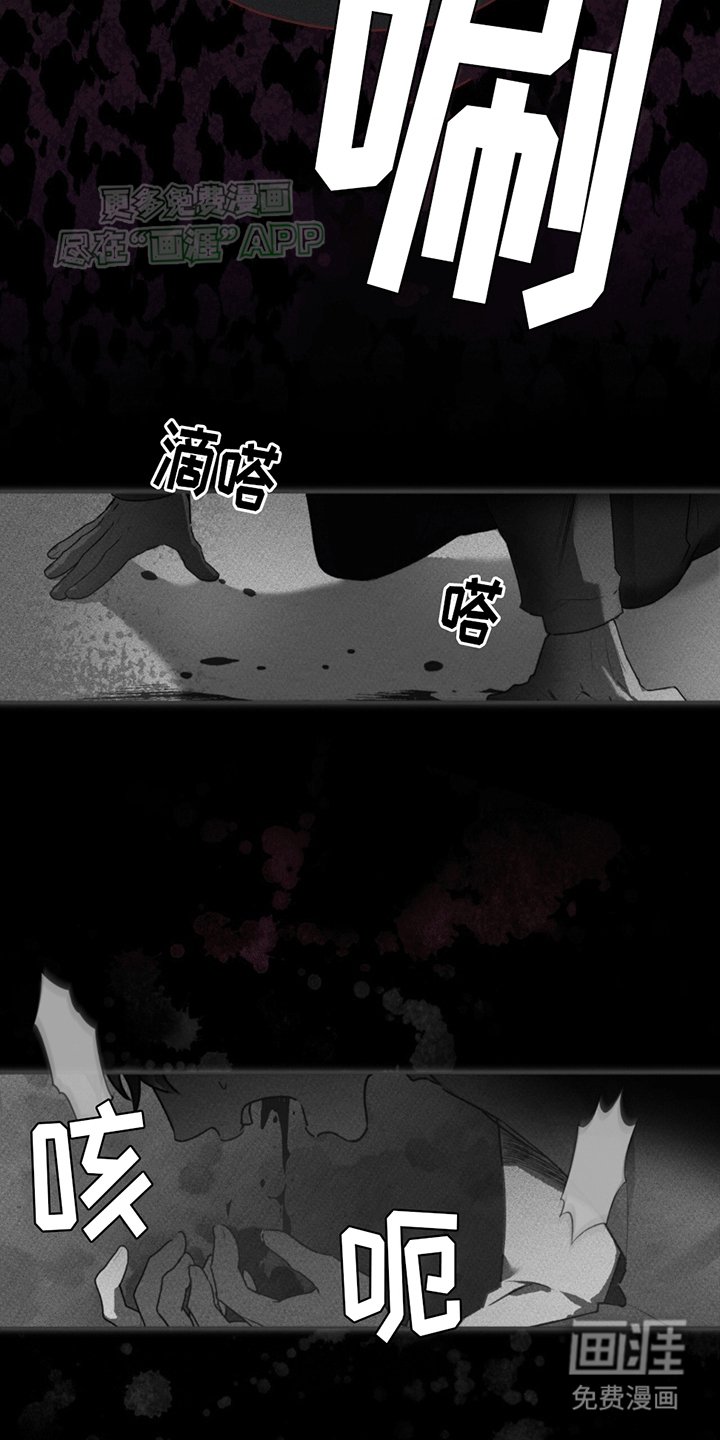 第9章：双胞胎