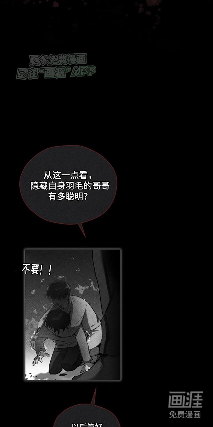 第9章：双胞胎