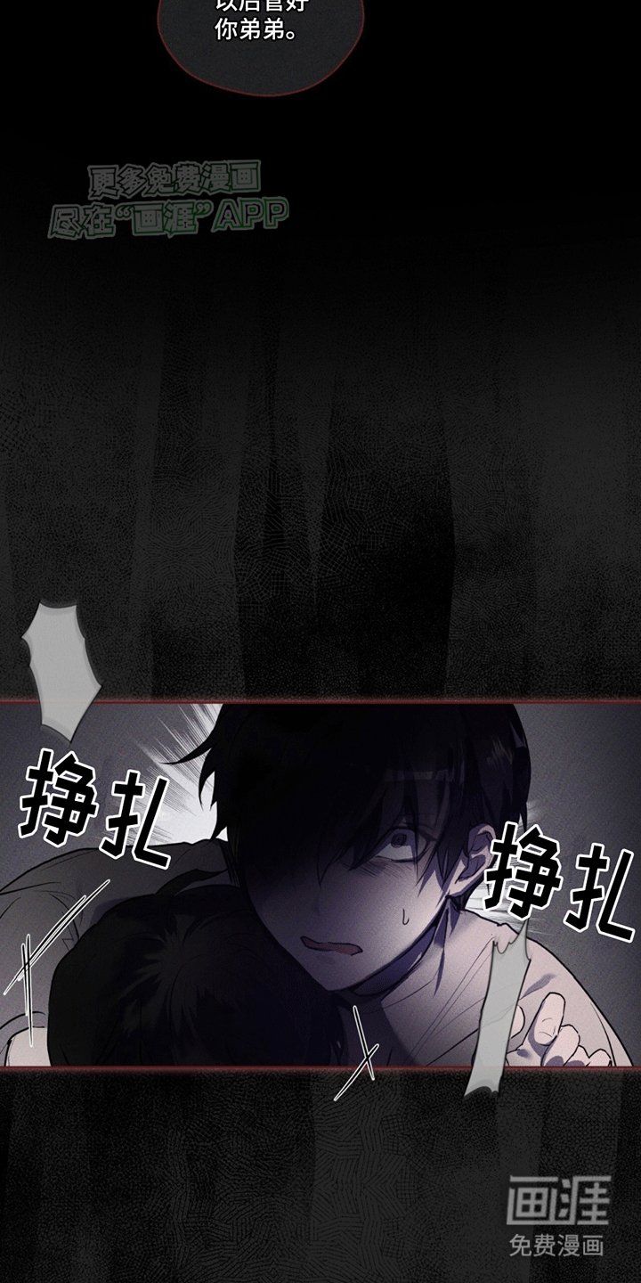 第9章：双胞胎