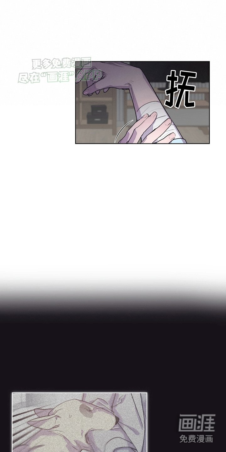 第9章：双胞胎