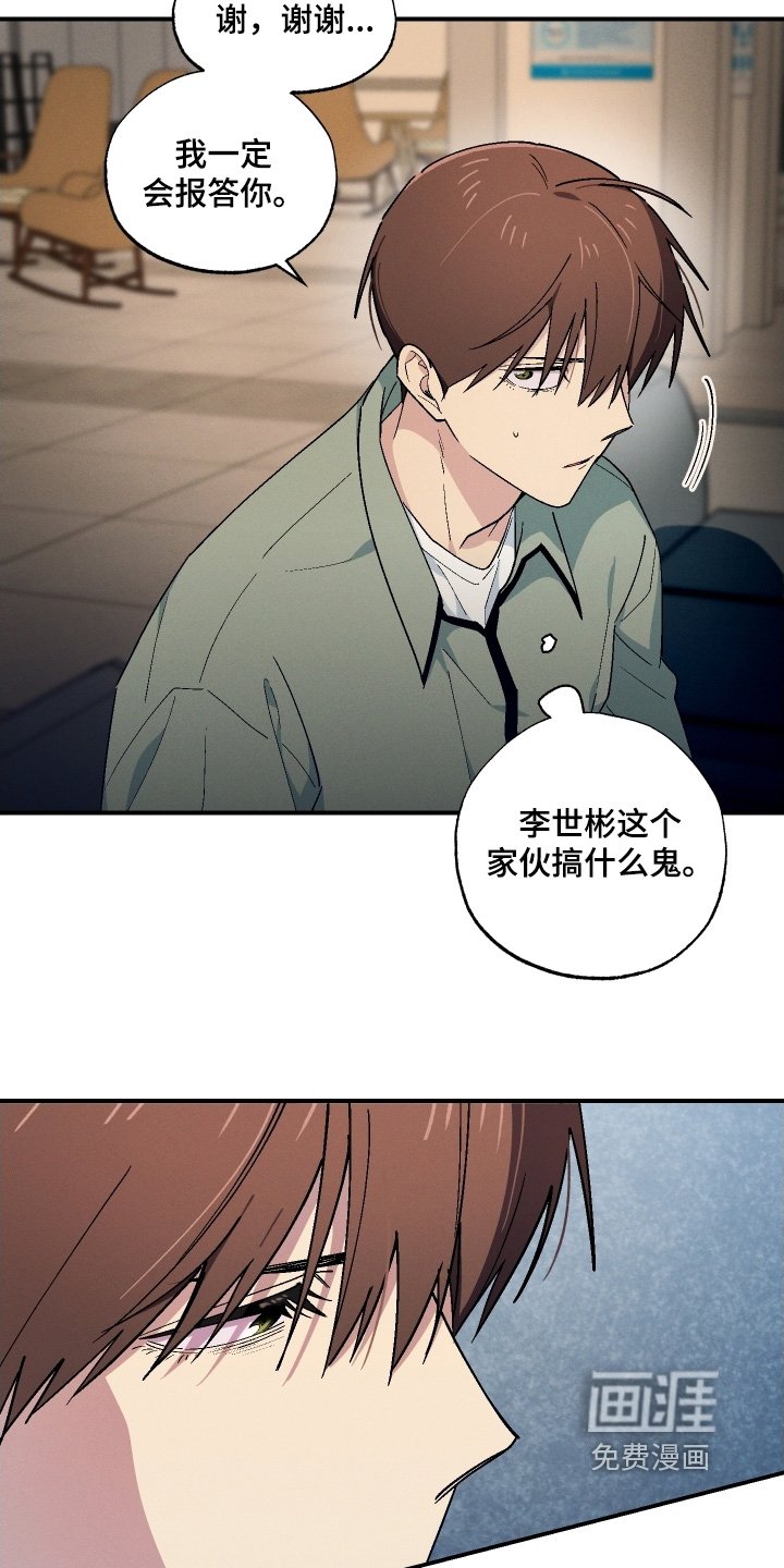 第113章：都是我的错